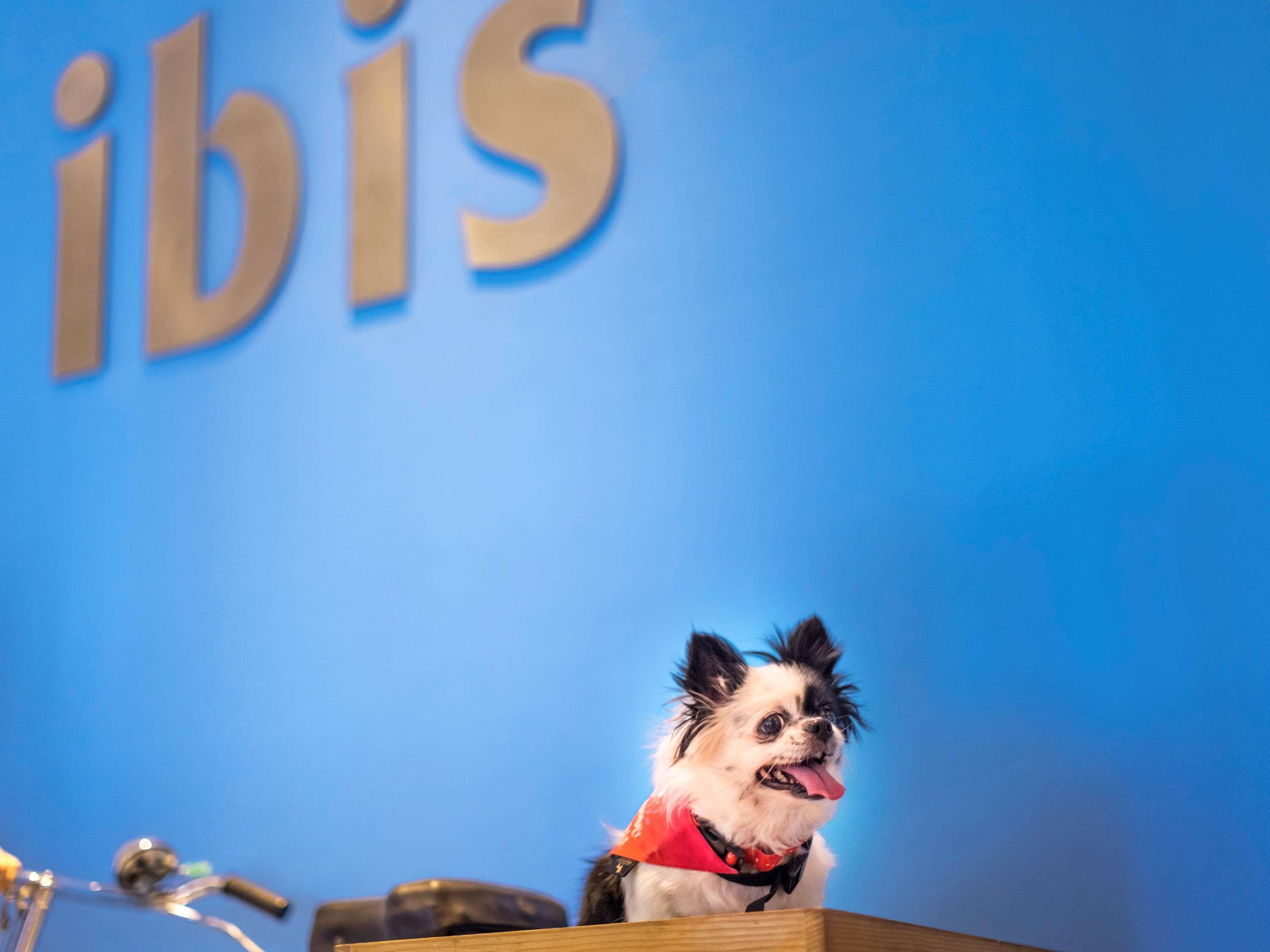 Hotel Ibis Bengaluru Hosur Road - An Accor Brand Exteriér fotografie